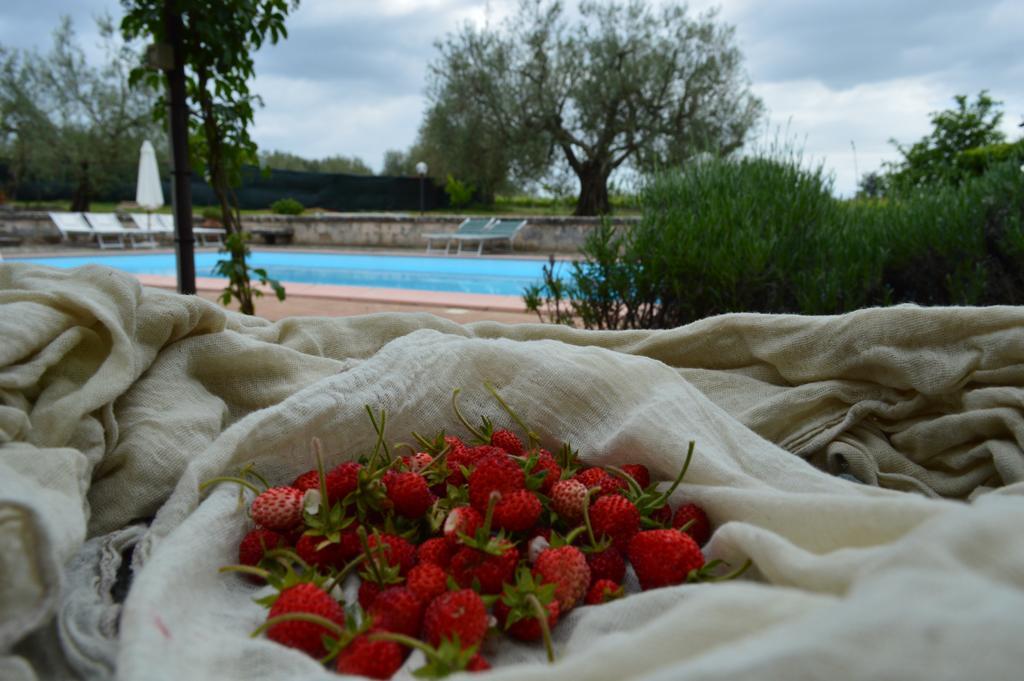 بيتيجليانو Agriturismo Eco-Bio Villa Vacasio المظهر الخارجي الصورة